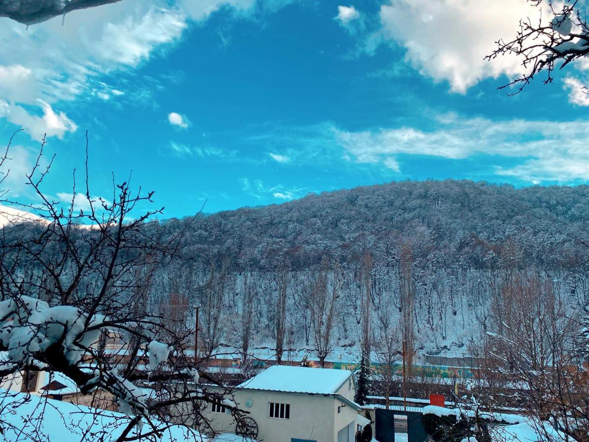 Green Garden B&B 딜리잔 외부 사진