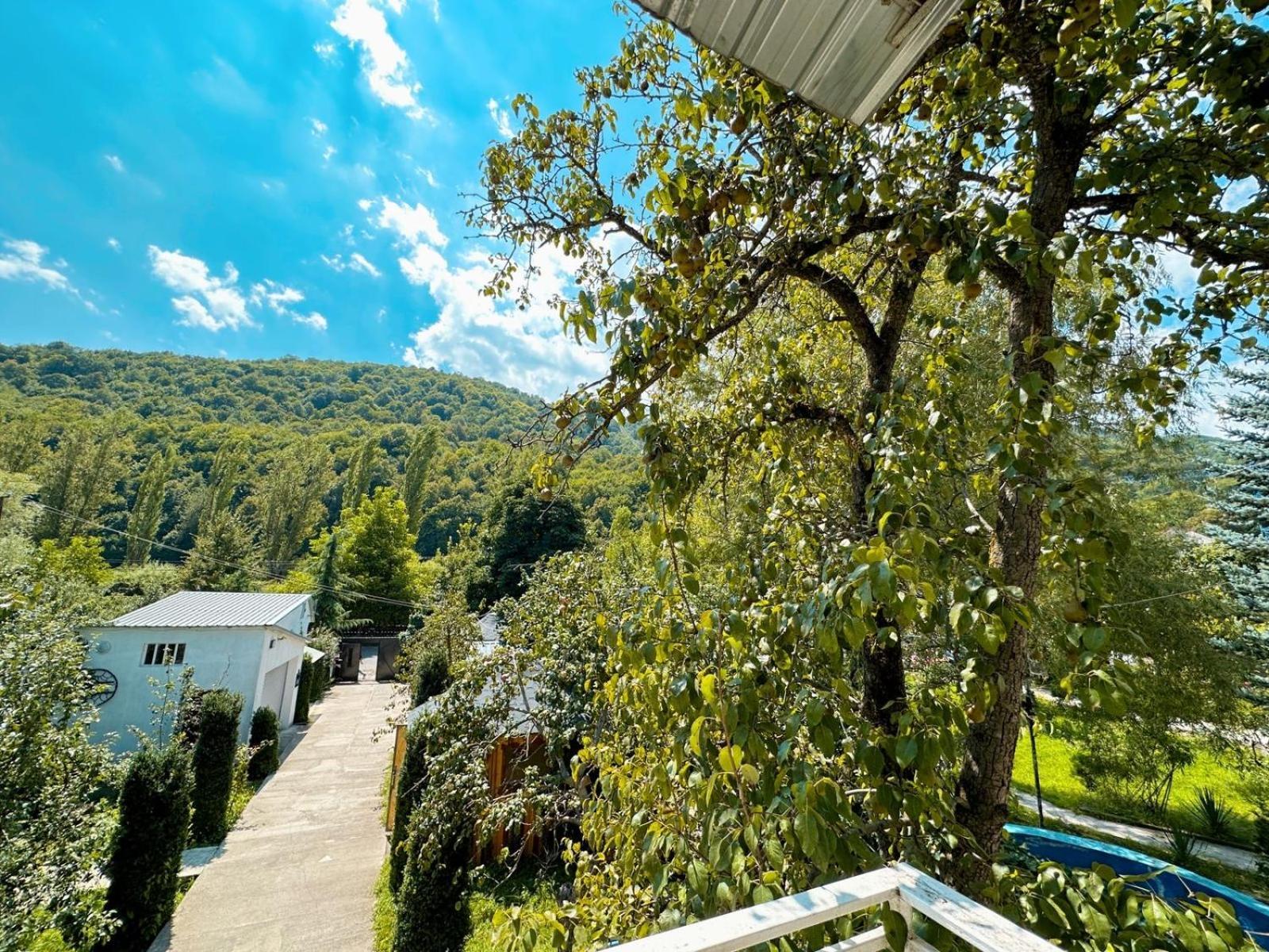 Green Garden B&B 딜리잔 외부 사진